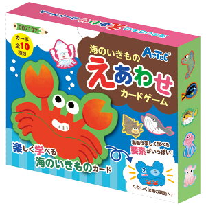 Ĉ̂킹J[hQ[ c mߋ   V LbY j̎q ̎q ct ۈ牀 q G킹 C̐ 