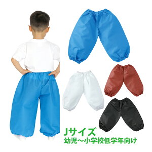 TGpc J LbY c RX`[ q w j̎q ̎q RXv  ߑ ^ ̈ w| VY \     NX}Xv[g NX}X