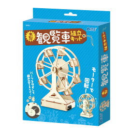 木製観覧車組立キット 手作りキット 工作 回る 木のおもちゃ 夏休み 自由研究 モーター 科学 実験 知育玩具 男の子 女の子 室内 遊び