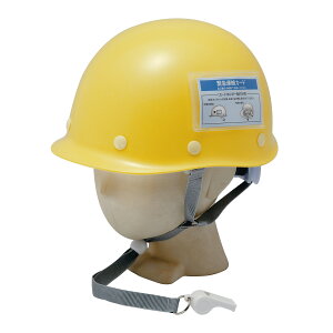 hЃwbg { LbYbg zCbX ً}AJ[ht q ct ۈ牀 w hЃObY