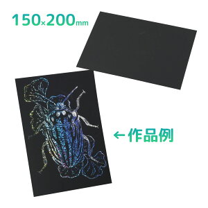 zOXNb`{[h 150×200mm H }H p ޗ f w ċx R h wZ  XNb`A[g G {