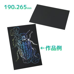 zOXNb`{[h 190×265mm H }H p ޗ f w ċx R h wZ  XNb`A[g G {