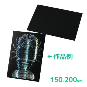 zOXNb`{[h2 150×200mm H }H p ޗ f w ċx R h wZ  XNb`A[g G {