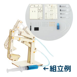 ̗͂ł!VxgLbg HLbg  Zbg j̎q w wN wN ċx R  wK ؐ 