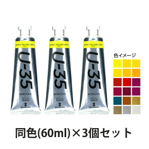 アクリル絵の具 ターナー U-35 アクリリックス ヘビーボディ C色 60ml 3個セット 美術 絵具 絵の具 画材 工作