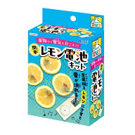 てのひら実験室 簡単!レモン電池キット