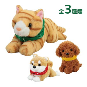 !!ւ񂶃Aj}2 { pi  ybg ׂ  F L   ʂ q v[g