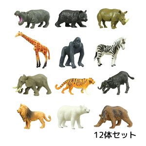 �A�j�}���t�B�M���A 12�̃Z�b�g ���� �t�B�M���A �l�` �͌^