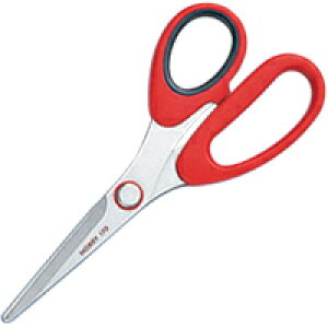 XeX͂ zr[ 170 17cm 36623 No[ ͂ | ٖD m \[COpi    nhCh zr[