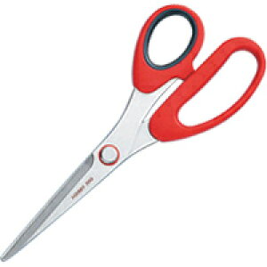 XeX͂ zr[ 200 20cm 36624 No[ ͂ | ٖD m \[COpi    nhCh zr[