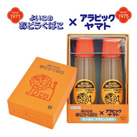 らいおん アラビックのり 50ml 2本セット アラビック ヤマト 液状のり 文房具 レトロ文具 工作 子供 入学 デビカ