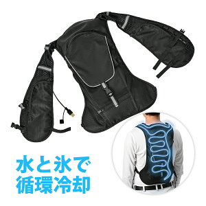 xXĝ z pxXg ⊴xXg N[xXg ƕ ƒ ╞ MǑ΍ObY  ΍ v[g PROMOTE