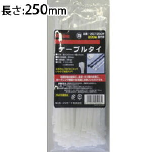 P[u p  250mm DSCT-250W PROMOTE P[u^C P[u z oh 