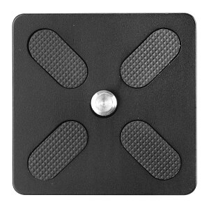 JANZT[ QS-74 NCbNV[ J rfIJ ჌t rfI ʐ^  Be rfI_ Or t AJXCX݊ 1/4C`JlW oK[h