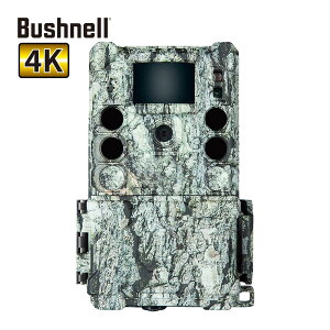 gtB[JXLT30MPm[OESC4K l Ď hƃJ Î iCgrW Be ʐ^  Be È   hƃObY dr Bushnell