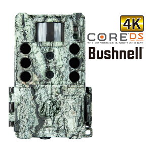 gtB[JXLT32MPm[OEDC4K l Ď hƃJ Î iCgrW Be ʐ^  Be ۑ È   hƃObY dr Bushnell