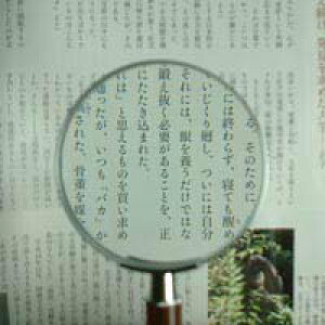 g勾 [莝[y ዾ ߂ Vዾ] fbNX[y 1331 2.5{ 75mm rcY [y g勾 ώ@
