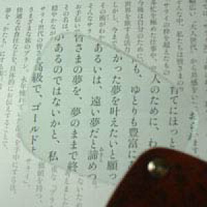 ዾ g勾 3190N |Pbg[y 2.5{ rcY