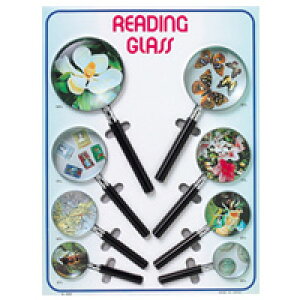 ዾ G{[y fBXvCZbg 6000 8Zbg rcY g勾 ߂ [yZbg
