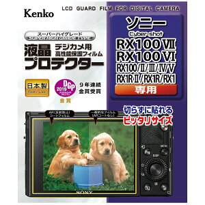 tveN^[ SONY \j[ RX100VII /RX100VI /RX100IIEIIIEIVEV /RX1RII /RX1R /RX1 p tی tpیtB LYh~ JANZT[ Jpi