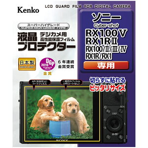 tveN^[ \j[ Cyber-shot RX100V / RX1RII / RX100 II , III , IV / RX1R / RX1 p tی tpیtB LYh~ JANZT[ Jpi