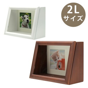 fBXvCBOX 2L tHgt[ ʐ^   j v[g Mtg CeA oY LO w  vo {bNX