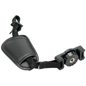 J  ~[X  JObvXgbvR Be 莝Be z[h ʐ^ {