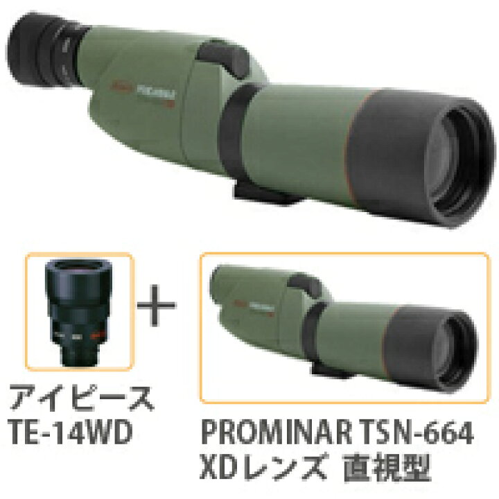 楽天市場】コーワプロミナー フィールドスコープ TSN-664M 直視型 本体 
