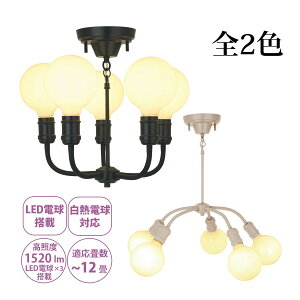 VfA y_gCg Ɩ   k led 킢 V ݂艺  i`C_XgA pb LV} kishima 5