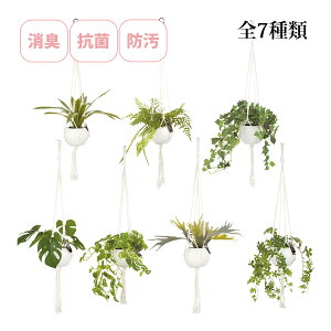 LA[eBtBVO[ GNA nMO^Cv tFCNO[ lHϗtA VK[oC ݂艺 }NnMO C CTG}