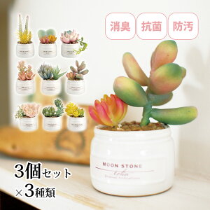 観葉植物 人工 フェイクグリーン ミニ おしゃれ 消臭アーティフィシャルグリーン エクリア 多肉3個セット インテリア 雑貨 かわいい 鉢植 置物 部屋