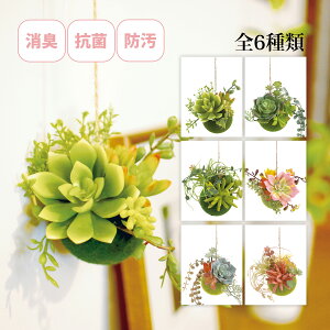 ϗtA lH tFCNO[  LA[eBtBVO[ STCY GNA {[ ݂艺 R hL CeAG 킢