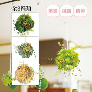 ϗtA lH tFCNO[  LA[eBtBVO[ LTCY GNA {[ ݂艺 R CeA G 킢