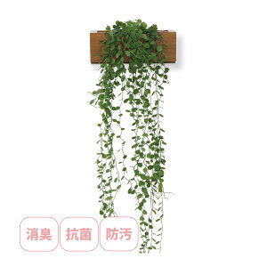 tFCNO[ ϗtA lH A L R  킢 Ǌ|  CeA G A[eBtBVO[ STCY GNA LV}