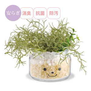 tFCNO[ ϗtA lH A L R  킢 A CeA G A[eBtBVO[ LTCY t@~[ ni LV}