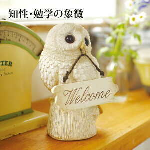 EGJ u IuWF I[ig   킢 K[fjO  diy CeA G ӂ낤 tNE fBXvC EGJAE