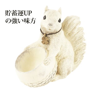 K[fI[ig u  k AeB[N 킢  X  K[fjO  diy CeA G XNC(L) SQUIRREL