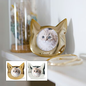 tHgt[ ʐ^  킢 ˂ k  ^t[  L 茳{  Cat Lbg ybg { L  Coco