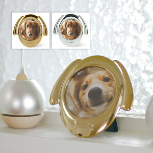 tHgt[ ʐ^  킢  k  ^t[   茳{  Dog Ck ybg  RR  Coco