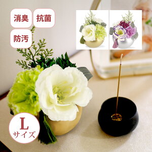  d      tFCNt[ 茳{ L R hH  saku Satsuki  LTCY t[AWg