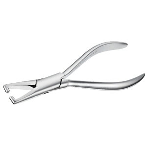 evpx bgR Ƃ Klp H ዾ C  H elX