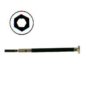 ibg ibg ibg H hCo[ibg[Zp] Obvt