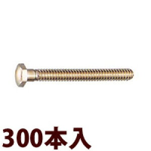 lW ˂ ZplWGXeX[300{] Kl ዾ ߂ i p[c c[|CgY  C