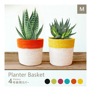 Jo[ MTCY  oXPbg |^[ 4 v^[Jo[ [ ϗtA