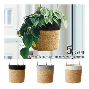 Jo[ LTCY  oXPbg |^[ 5 v^[Jo[ ݂艺 ^ ϗtA  [ 