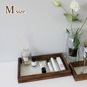 xSjA gKXgC M  P[X g[  [ ꕨ ؐ KX v[g Mtg  z j CeA