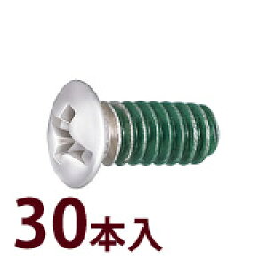 部品 ねじ メガネ 眼鏡 修理 交換 メンテナンス 眼鏡店 P-461 +-ロックネジ2 30本入 日本製