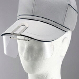 ی߂ zXqt` HS-4 j-vX`bN Vi