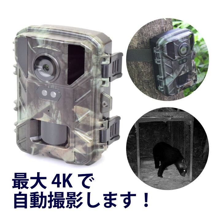 楽天市場】赤外線 無人 撮影 カメラ 4Kカメラ STR-MiNi800 暗視 