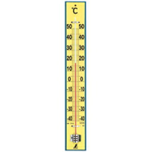 xv ؐ 60cm 75920 NǗ ȃGl ItBXp wZp a@p V